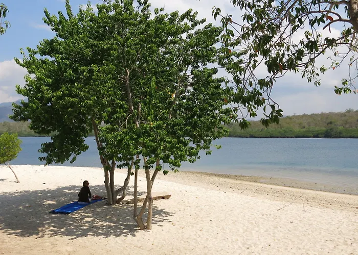 Batu Ampar Menjangan 4* بانُوويدانغْ