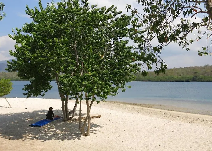 Batu Ampar Menjangan 4* バニュウェダン